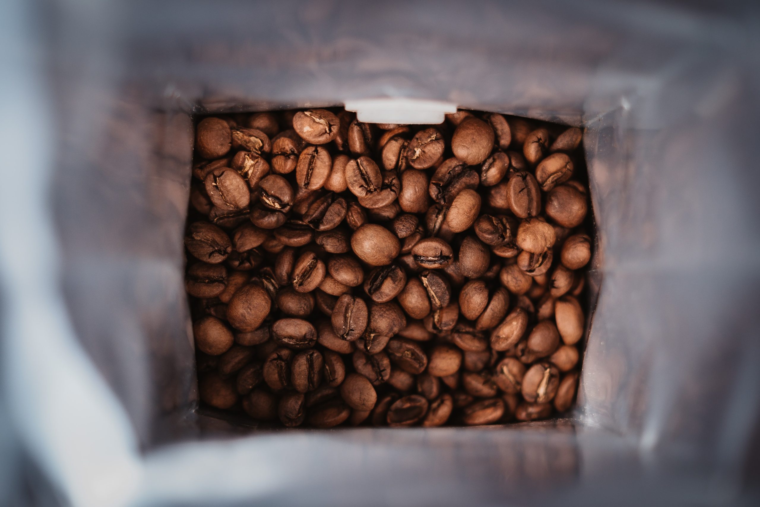 dwayne-badua-hoHoIa7MHKI-unsplash